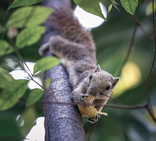 怎么去攻击一个网站与防护