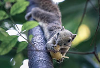 怎么去攻击一个网站与防护